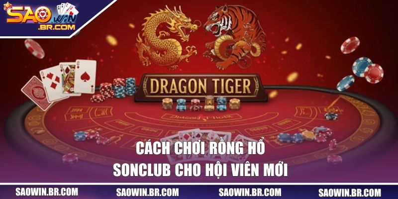 Hướng Dẫn Cách Chơi Rồng Hổ SAOWIN Chi Tiết Cho Newbie 1 Chi tiết cách chơi Rồng Hổ SAOWIN cho hội viên mới