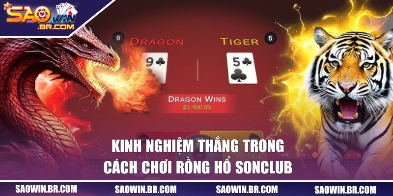 Hướng Dẫn Cách Chơi Rồng Hổ SAOWIN Chi Tiết Cho Newbie 2 Kinh nghiệm thắng trong cách chơi Rồng Hổ SAOWIN