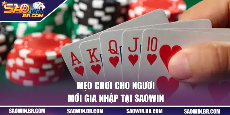 Mẹo chơi cho người mới gia nhập tại SAOWIN