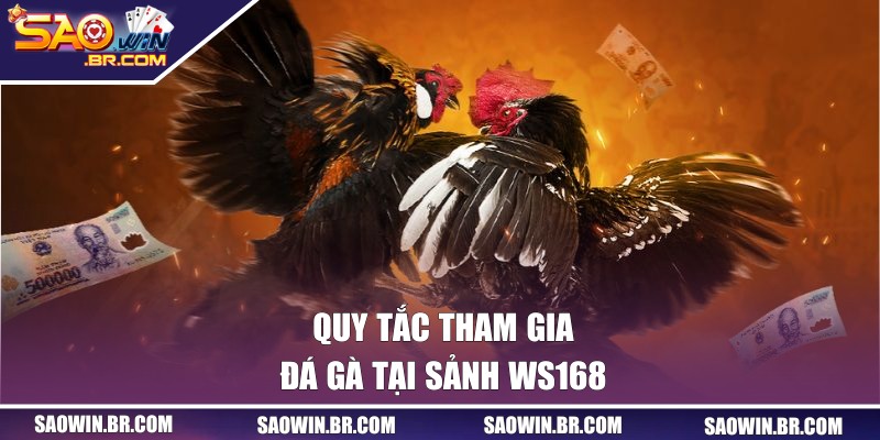Đá Gà WS168 - Sảnh Game Ăn Khách Nhất Tại Cổng SAOWIN 2 Quy tắc tham gia đá gà tại sảnh WS168