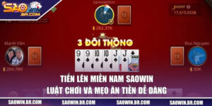 tien len mien nam saowin bia